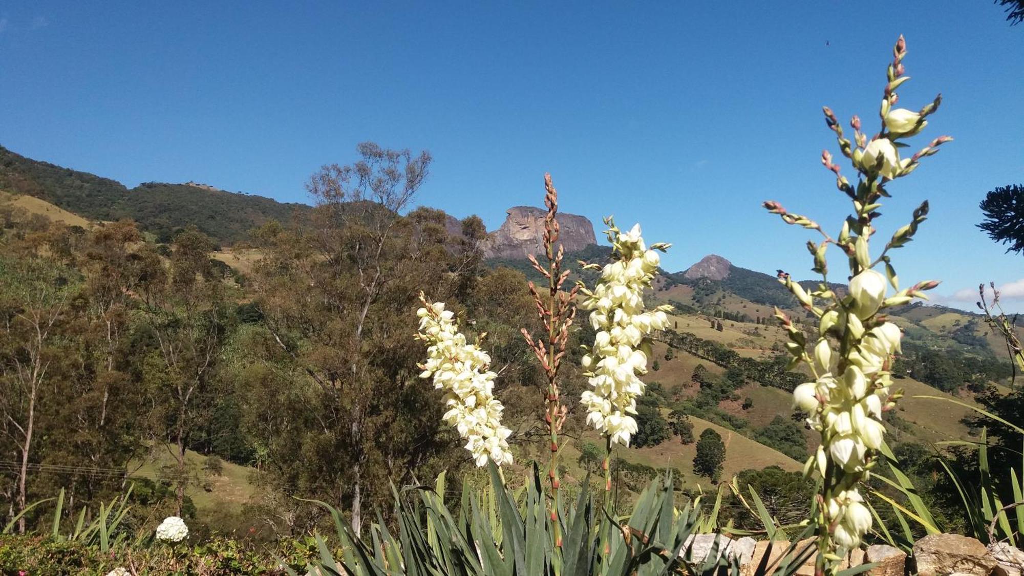 Chales Azaleia Todos São Bento do Sapucaí Exterior foto
